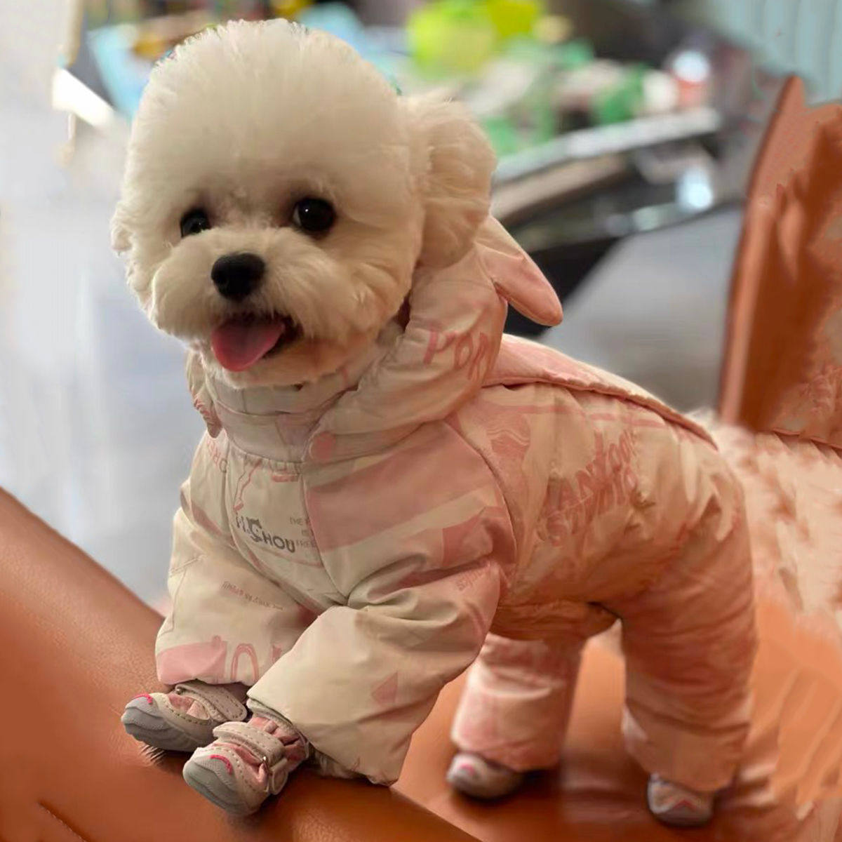 狗狗衣服秋冬款泰迪比熊狗狗保暖四脚衣自带牵引加厚连体休闲衣服