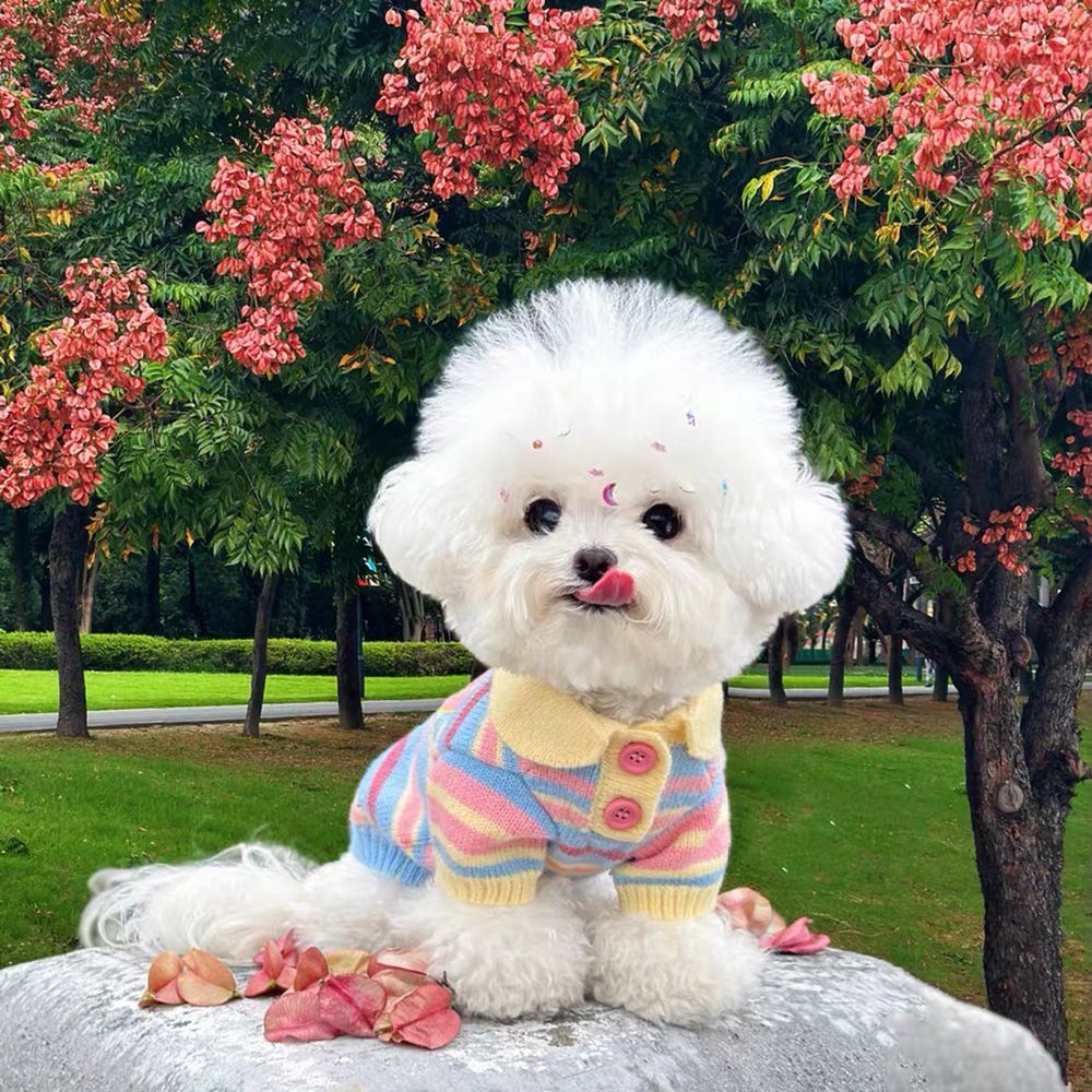 宠物猫咪狗狗衣服小中型犬秋冬季可爱毛衣背心猫咪雪纳瑞法斗比熊