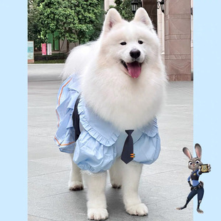 中大型犬公主花边裙可爱狗狗猫咪衣服萨摩耶防掉毛 宠物春夏薄款
