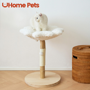 一朵小花猫爬架不占地小巧天然树干猫树磨爪猫窝一体大号猫架