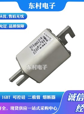 170M4181 170M4182 170M4183 170M4184 170M4185 170M4186熔断器