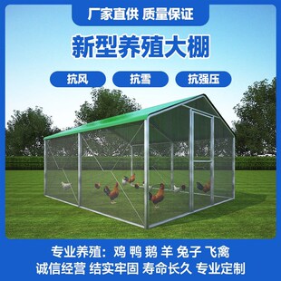 鸡棚遮雨棚骨架鸡舍户外家禽养殖鸡笼子挡风防P雨防晒简易搭建鸽