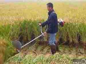 新品神器扶机农用收割器割稻家用机器割稻禾割稻谷神小型割麦除草
