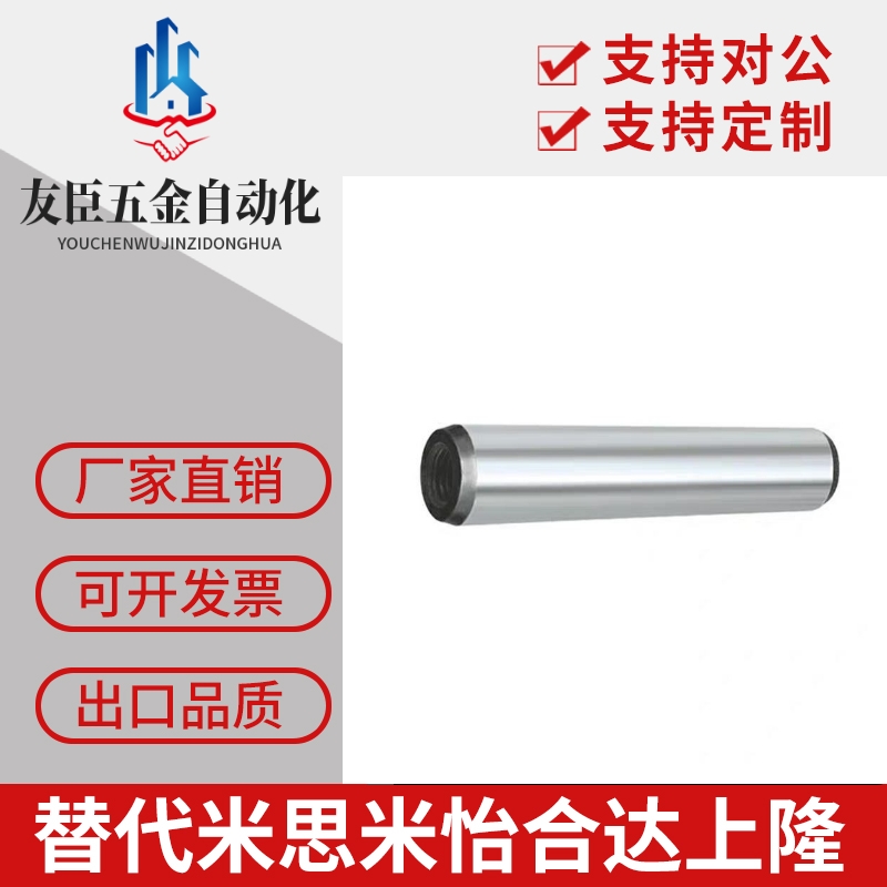 MSTH5/6/8内螺纹圆柱带螺孔定位攻牙销公差h7销钉BLV41替代米锶米