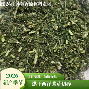 新货干燥西洋蓍草欧蓍草干叶干品枝叶精油纯露芳香提取原料农产品
