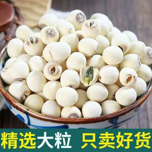 新货2026年新连子干货500g