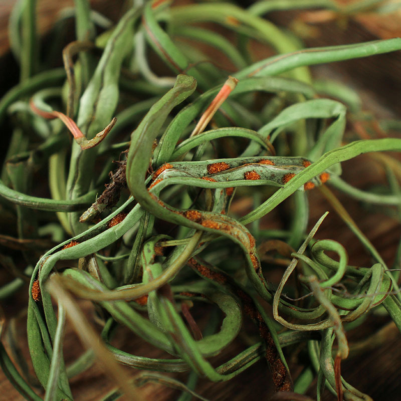 长白山肾精草化石茶肾精茶黄金草嗷嗷叫男士养生茶野生小叶神经草