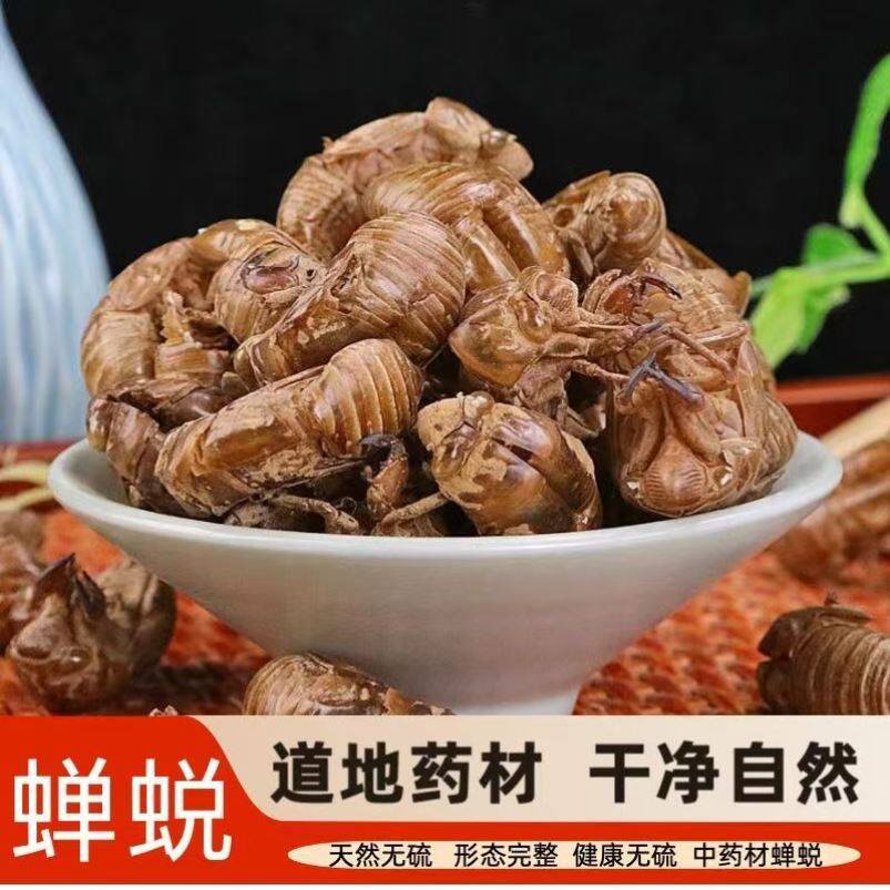 蝉蜕中药材500g克蝉衣知了皮蝉退
