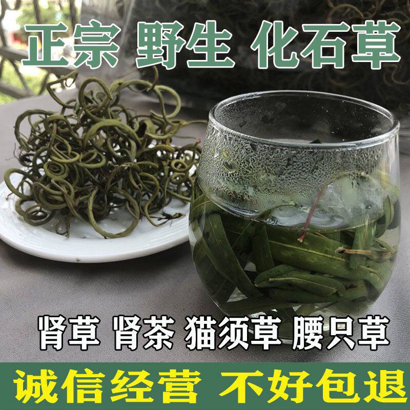 肾精茶长白山肾精草野生肾经化石草茶石苇茶韦滋养男性性功能调理