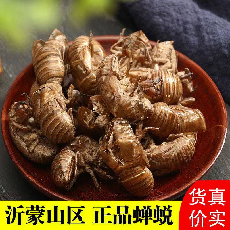 新货正品无硫蝉蜕皮中药材知了壳蝉蜕粉毛猴原料包邮婵壳自然脱落