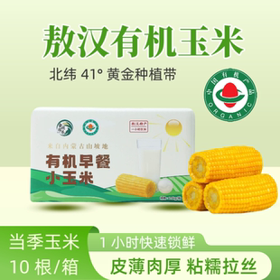 内蒙古敖汉有机甜糯玉米非转基因粗粮低脂代餐学生速食早餐真空装