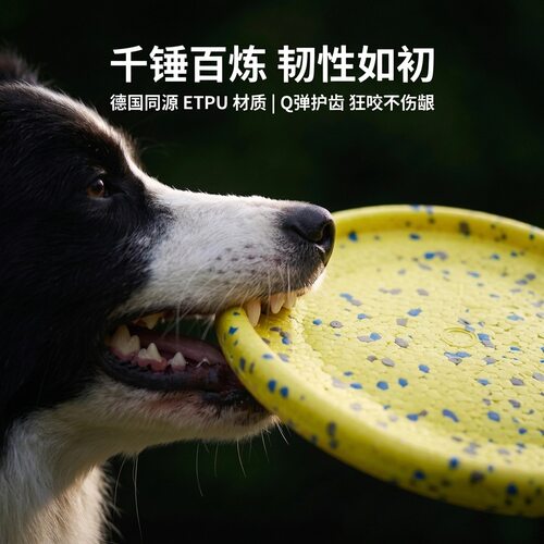 狗狗飞盘彩色斑点人宠互动户外寻