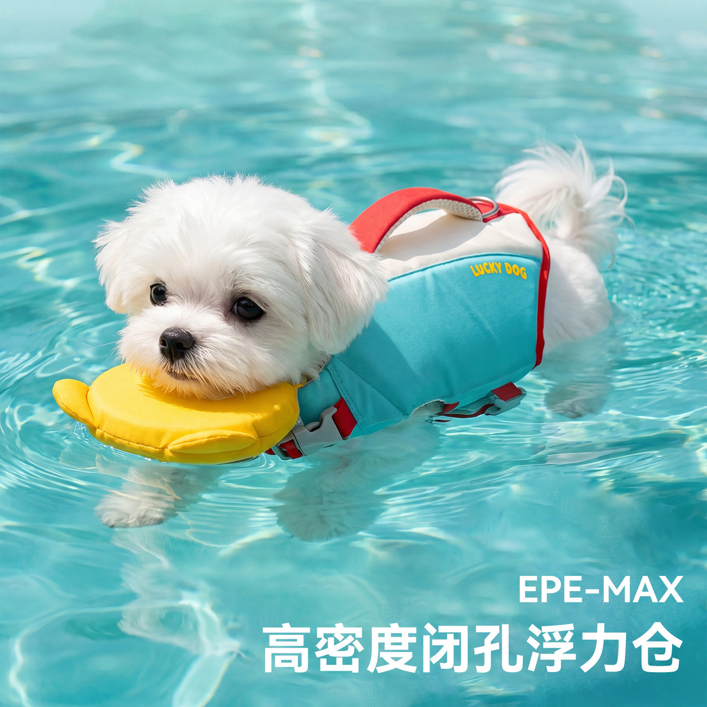 26年新款狗狗救生衣超大浮力狗狗