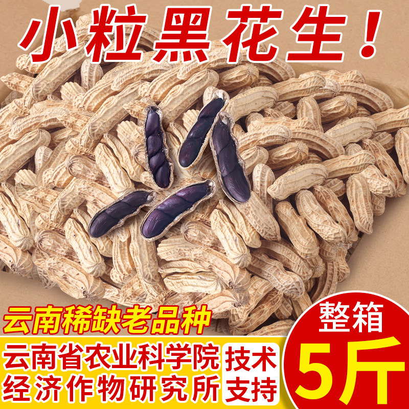 黑花生2025新鲜富带壳硒黑皮紫色花生炒熟坚果炒货云南普洱特产