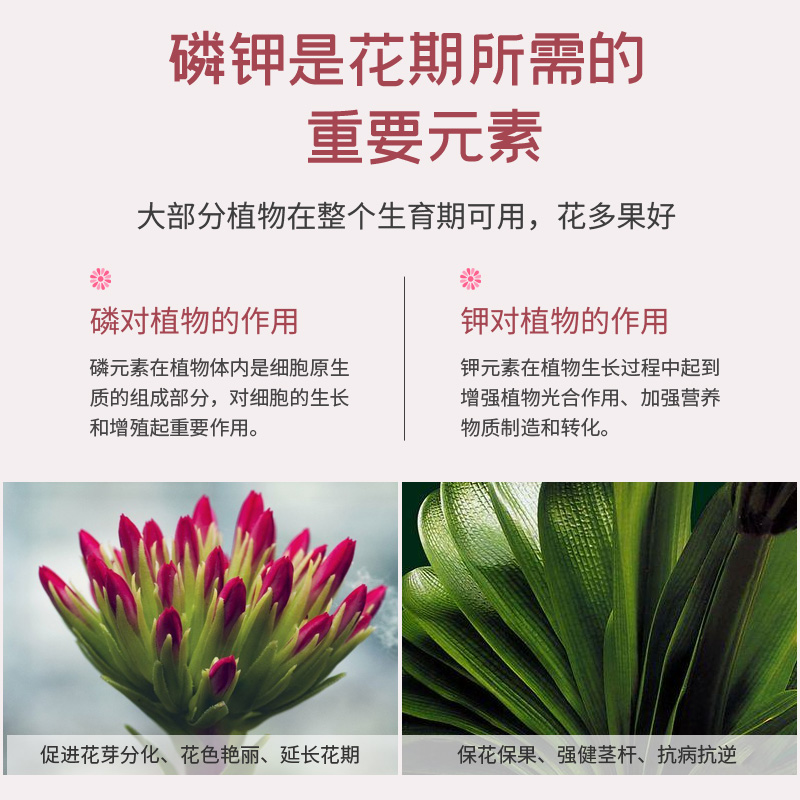 极速磷酸二氢钾肥料花卉叶面肥养F花家用花多多2号盆栽复合肥