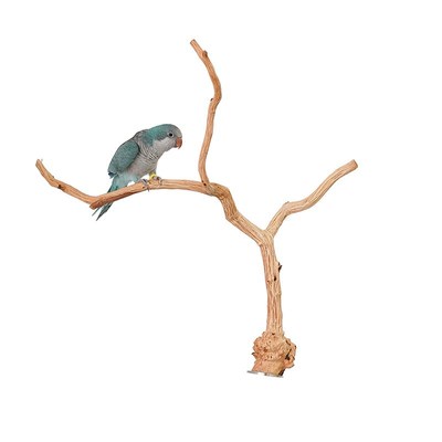 鹦鹦队鹦鹉野梨木实木站架托盘站B杆坚硬耐啃中小型鸟站立栖息站