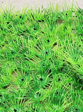 极速仿真绿色植物塑料草皮商场地B面背景植物墙装饰盆栽铺面用人