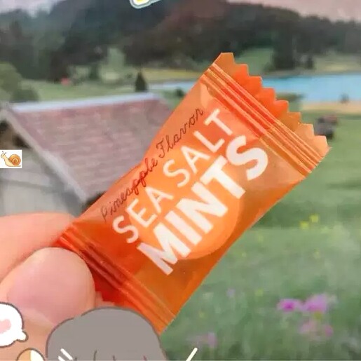 【抢】海盐百香果薄荷味糖商用批传统糖果