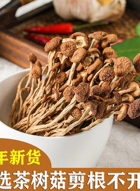 广昌茶树菇干货无硫去根