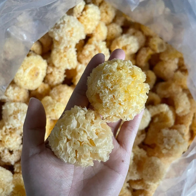 古田椴木银耳新鲜干货无硫