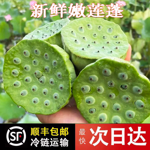 新鲜莲蓬嫩莲子包邮现发