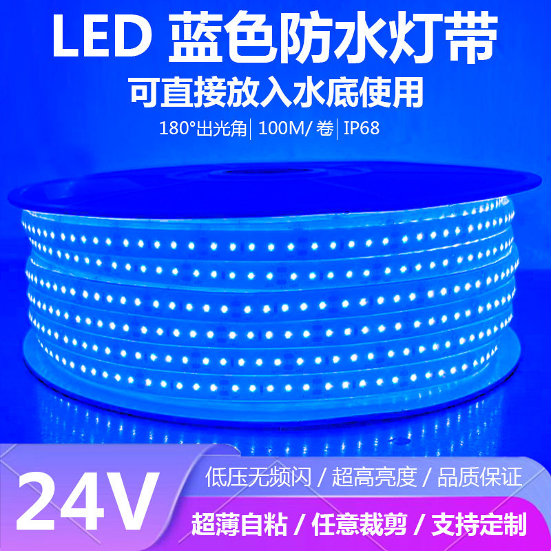 24V防水蓝色水底下专用超亮灯带图片