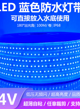 蓝色灯带24V户外防水鱼缸鱼池泳池水下水底专用24伏蓝色超亮灯带