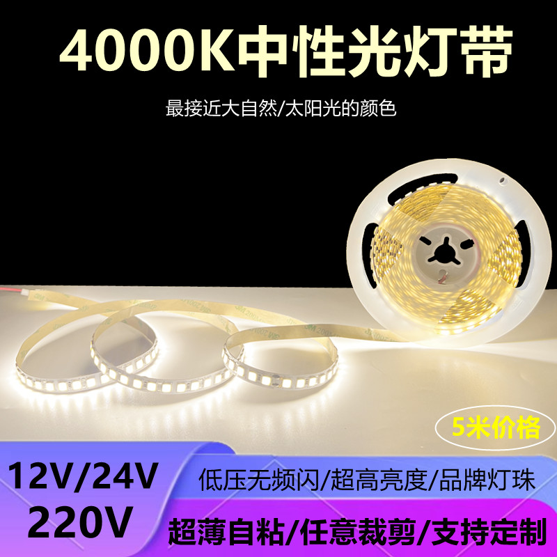 12v24v中性光4000K自然白欧蒂光