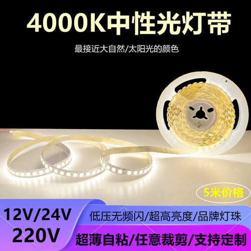 12v24v中性光4000K自然白欧蒂光