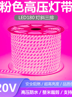220V三排粉红光LED灯带条防水粉色180灯玫红色粉紫色LED灯条防雨