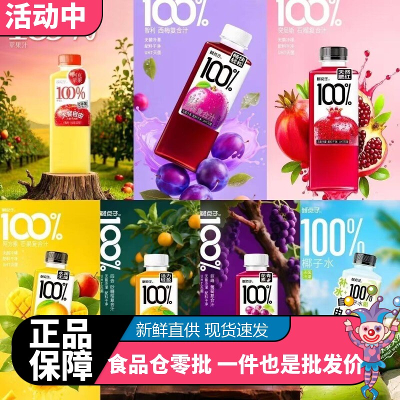 鲜点子果汁饮料500ml葡萄西梅沙