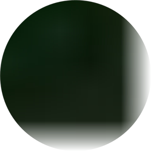 发财树大颗客厅大绿植室内外大型植物盆栽净化空气吸甲醛大型绿植