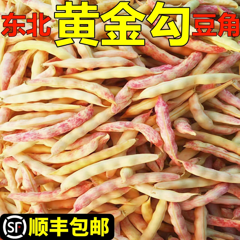 新鲜黄金勾豆角黄金钩豆角农家油豆角东北豆角黑龙江八月忙蔬菜