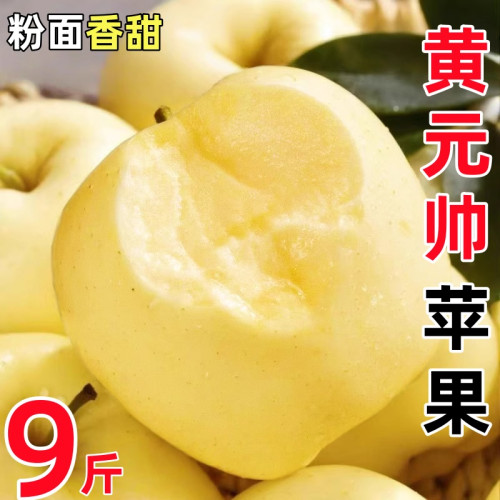 黄元帅苹果东北新鲜水果当季粉面刮泥黄金帅奶油红富士香蕉苹果