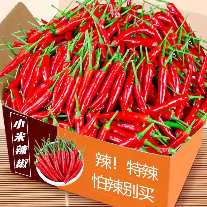 小米辣新鲜蔬菜红辣椒云南朝天椒特辣农家自种阳光可泡椒剁椒包邮
