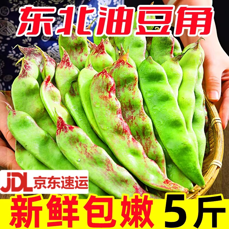 东北油豆角现摘新鲜豆角蔬菜图片