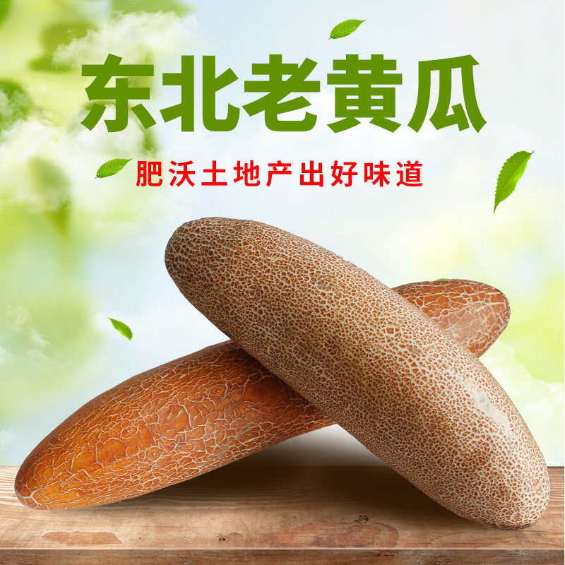 东北老黄瓜麻皮老黄瓜种煲汤新鲜蔬菜当季特产农家自种包邮