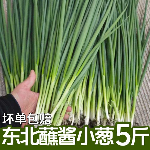 东北小葱新鲜农家蘸酱