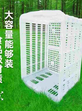 菜篮子框子白色塑料筐镂空周转筐装水果蔬菜筐子长方形加厚大号