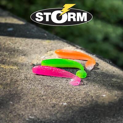 STORM世尊五目光面T尾软饵加盐加腥浮水鲈鱼鳜鱼鳟鱼翘嘴泥鳅假饵