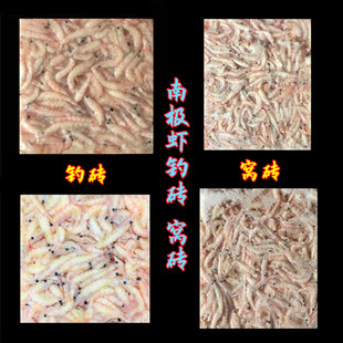 海钓南极虾砖钓砖打窝砖虾块矶钓船矶岸矶窝料饵料挂钩密制虾原料