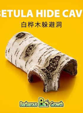 爬宠躲避屋白桦木树洞豹纹守宫蜥蜴肥尾瘤尾宠物蛇小窝饲养箱造景