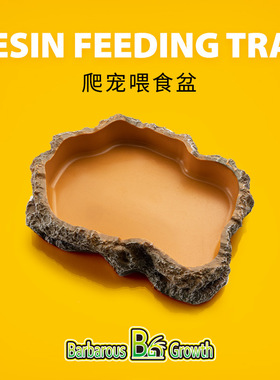 爬宠食盆豹纹守宫蜥蜴水盆寄居蟹角蛙树蛙泡澡盆瘤尾肥尾睫角造景