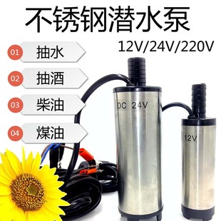 12V24V220V潜水泵不锈钢抽酒泵酒水柴油泵煤油泉小型泉水泵抖一抖