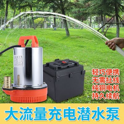 直流潜水泵家用小型水泵充电潜水泵12V24V48V电瓶车泵灌溉大流量