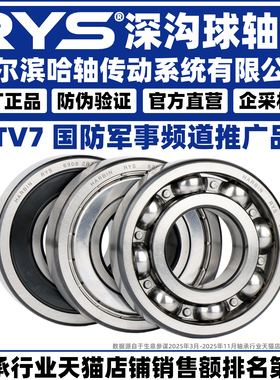 RYS 哈轴传动 6206 6207 6208 6209 6210 6211 - ZZ 2RZ 官方自营