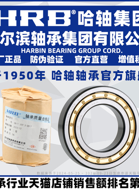 HRB 哈尔滨轴承 NJ211E P5 NUP2304E 圆柱滚子轴承