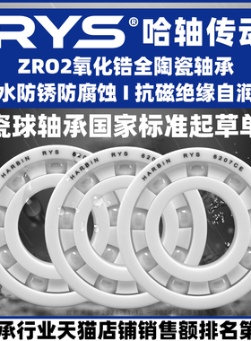 RYS 氧化锆全陶瓷轴承 6200 6201 6202 6203 6204 6205 CE 2RS