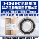 6309 哈尔滨轴承旗舰店 6305 6306 HRB 6308 6307 2RZ