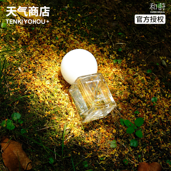 木质烟感香水高级男香